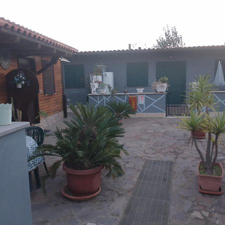 Aquila Di Mare Villa Fiumicino Rom bilde